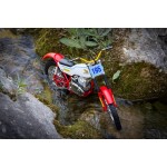 Modellino HONDA RTL 305